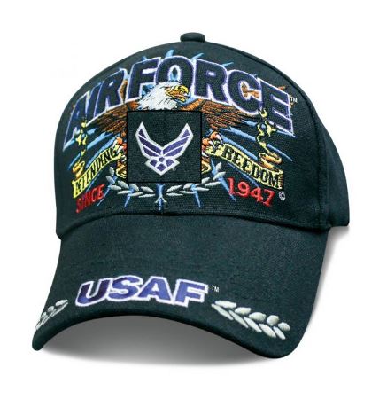 Defender Air Force Cap