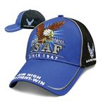 Victory Air Force Cap