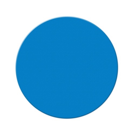 Armor Stripe Circle Shape Floor Marking, Blue