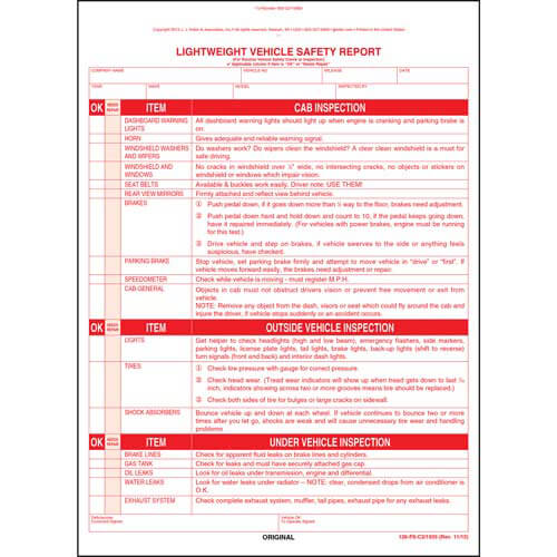 Lightweight Safety Inspection Report