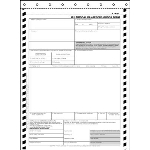 Multimodal Dangerous Goods Form - PinFeed 4 Part