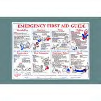 Emergency First Aid Guide Poster