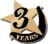 Safe Driving Recognition Pin, 3 Years