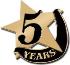 5 Year Safe Driving Pin