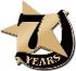 7 Year Safe Driving Pin