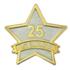 Year of Service Star Pin