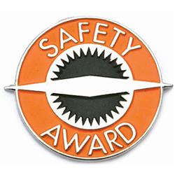 Driver Safety Award Pin