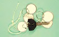 Metal Rim Tags w/Key Ring