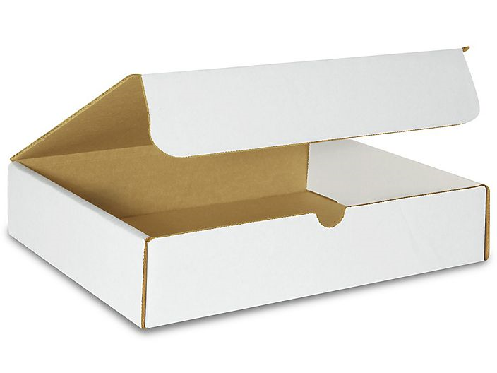 11-1/8 x 8-3/4 x 2-5/16" Literature Mailer