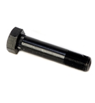 3/4" Wet Equalizer Bolt w/o Zerk Nut