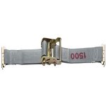 Kinedyne 2" x 16' Interior Van Ratchet Strap, E Fittings