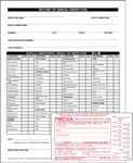Annual Vehicle Inspection Form and Inspection Label w/Punch Boxes