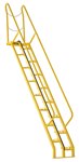 Alternating Tread Ladder, 10ft High