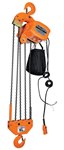 Economy Chain Hoist with Container, 10k, 3-Phase