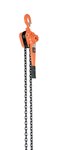 Professional Lever Hoist, 6k, 20ft